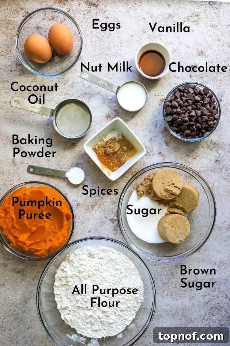 Decadent Chocolate Pumpkin Loaf 3 Easy Pumpkin Bread Ingredients neatly laid out on a kitchen counter.