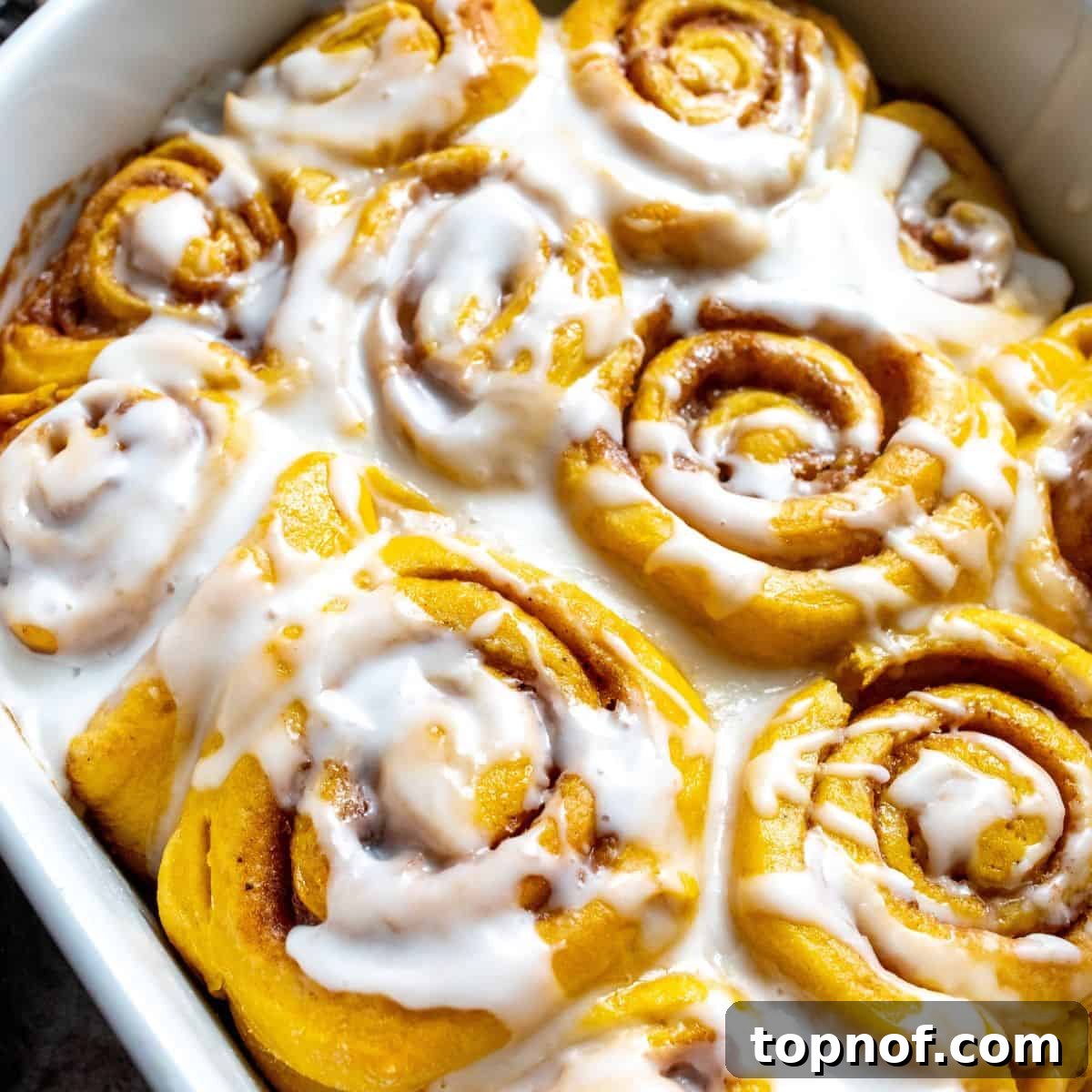 Warm Spiced Pumpkin Rolls 2 Delicious pumpkin cinnamon rolls, up close in a baking dish, drizzled with sweet icing.