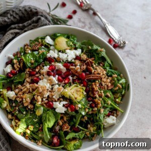 A vibrant Fall Salad with roasted Brussels sprouts, farro, and pomegranate, captured from an overhead perspective.