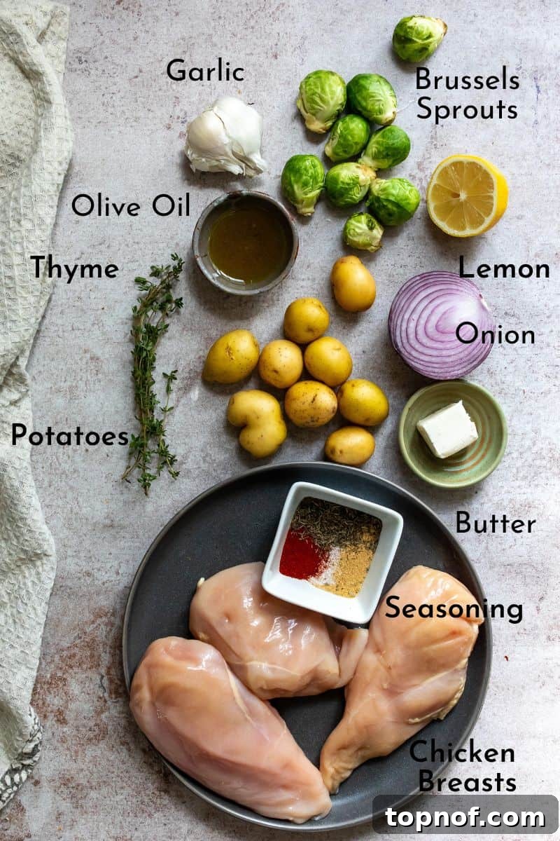 Effortless Roasted Chicken and Vegetables 3 Fresh ingredients for a chicken and vegetable sheet pan meal, including chicken breasts, potatoes, brussels sprouts, lemon, garlic, and herbs, arranged on a kitchen counter.