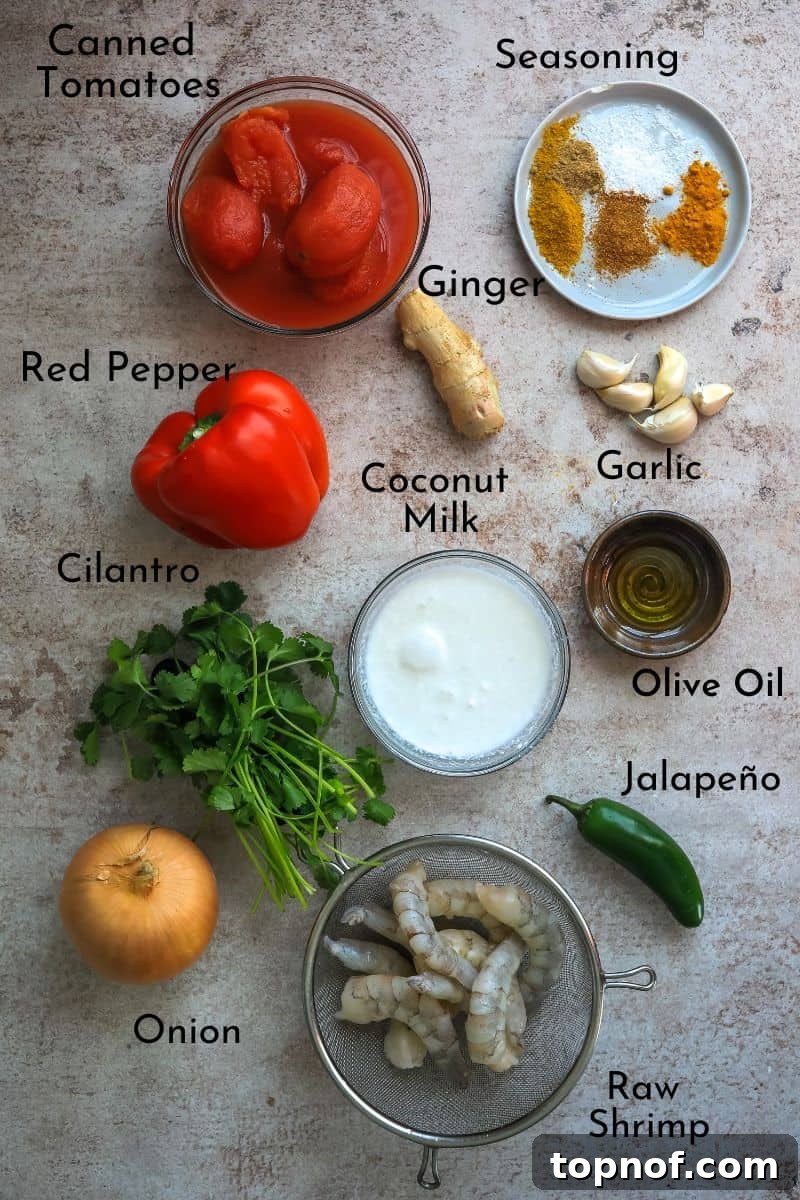 Velvety Coconut Shrimp Curry 3 A selection of fresh ingredients including raw shrimp, vibrant bell peppers, onions, garlic, ginger, and various Indian spices neatly laid out on a kitchen counter, ready for the Coconut Shrimp Curry preparation.