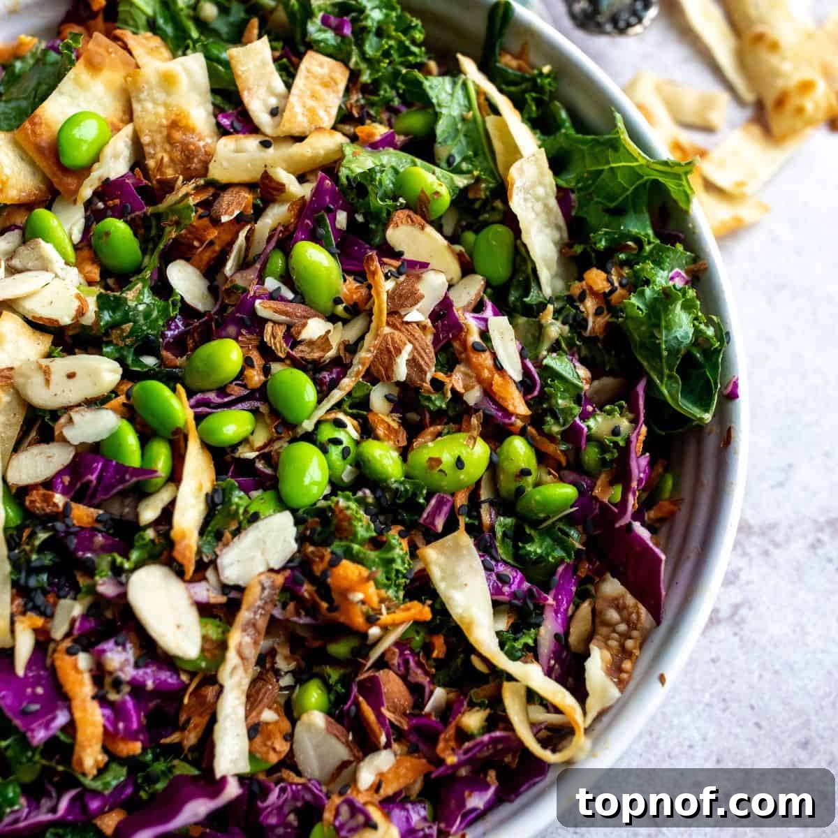 Crunchy Asian Cabbage Slaw 6 Salad up close with toppings in a white bowl. A detailed shot showcasing the fresh ingredients and vibrant dressing.