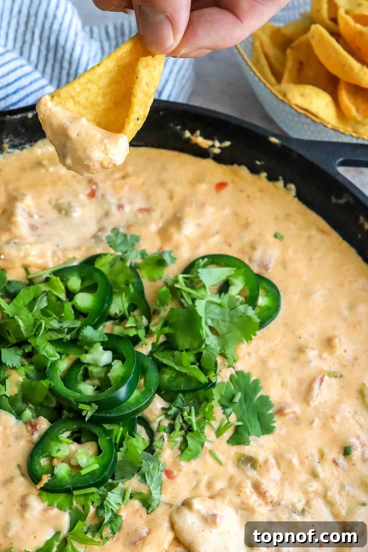 Artisan Smoked Queso 5 Freshly smoked queso, garnished with vibrant jalapeños and cilantro, served in a rustic black cast iron skillet.