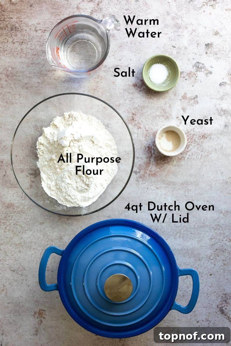 Artisan Overnight Loaf 3 Ingredients for overnight bread laid out on a kitchen counter: flour, yeast, salt, and a measuring cup of warm water.