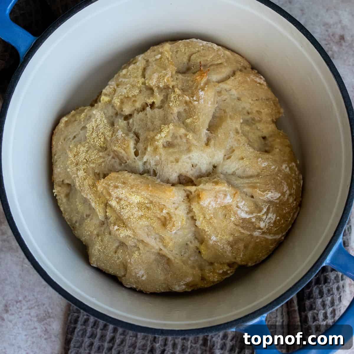 Artisan Overnight Loaf 5 Freshly baked overnight bread after the initial 30-minute cook time, still in the Dutch oven, before the lid is removed.