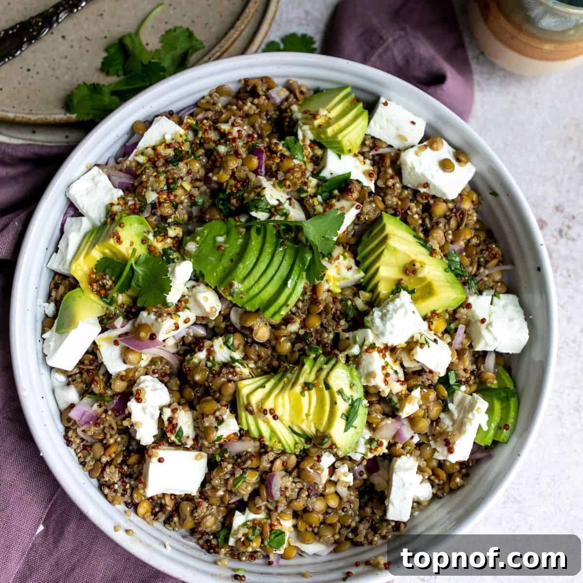 Vibrant Quinoa Lentil Power Bowl 2 A beautifully presented quinoa lentil salad with feta and fresh herbs, served in a white bowl with a side of lemon herb vinaigrette.