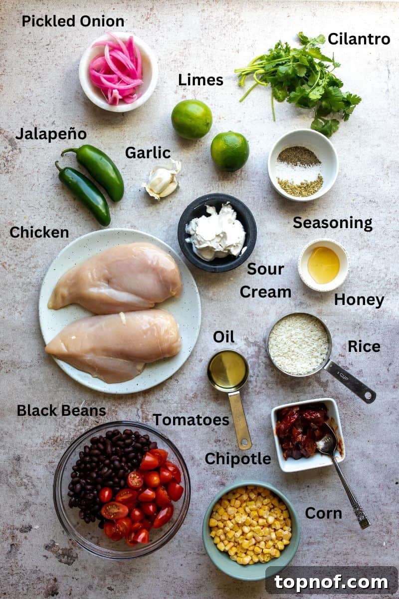 Chipotle Chicken Fiesta Bowl 3 Ingredients for the recipe laid out on a grey counter.