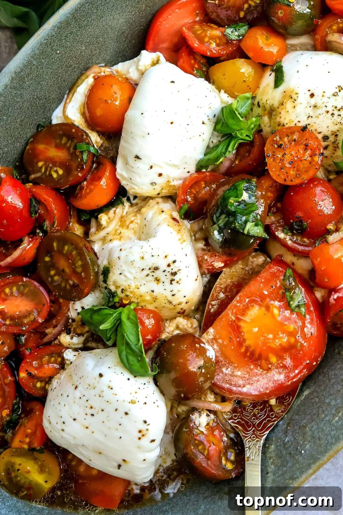 Creamy Burrata Tomato Bliss 5 A beautifully assembled Tomato Burrata Salad on a green serving dish, garnished with fresh basil, ready to be served.
