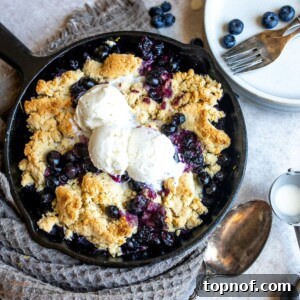 Black skillet with golden-brown gluten-free blueberry cobbler, melting vanilla ice cream, and a silver spoon.