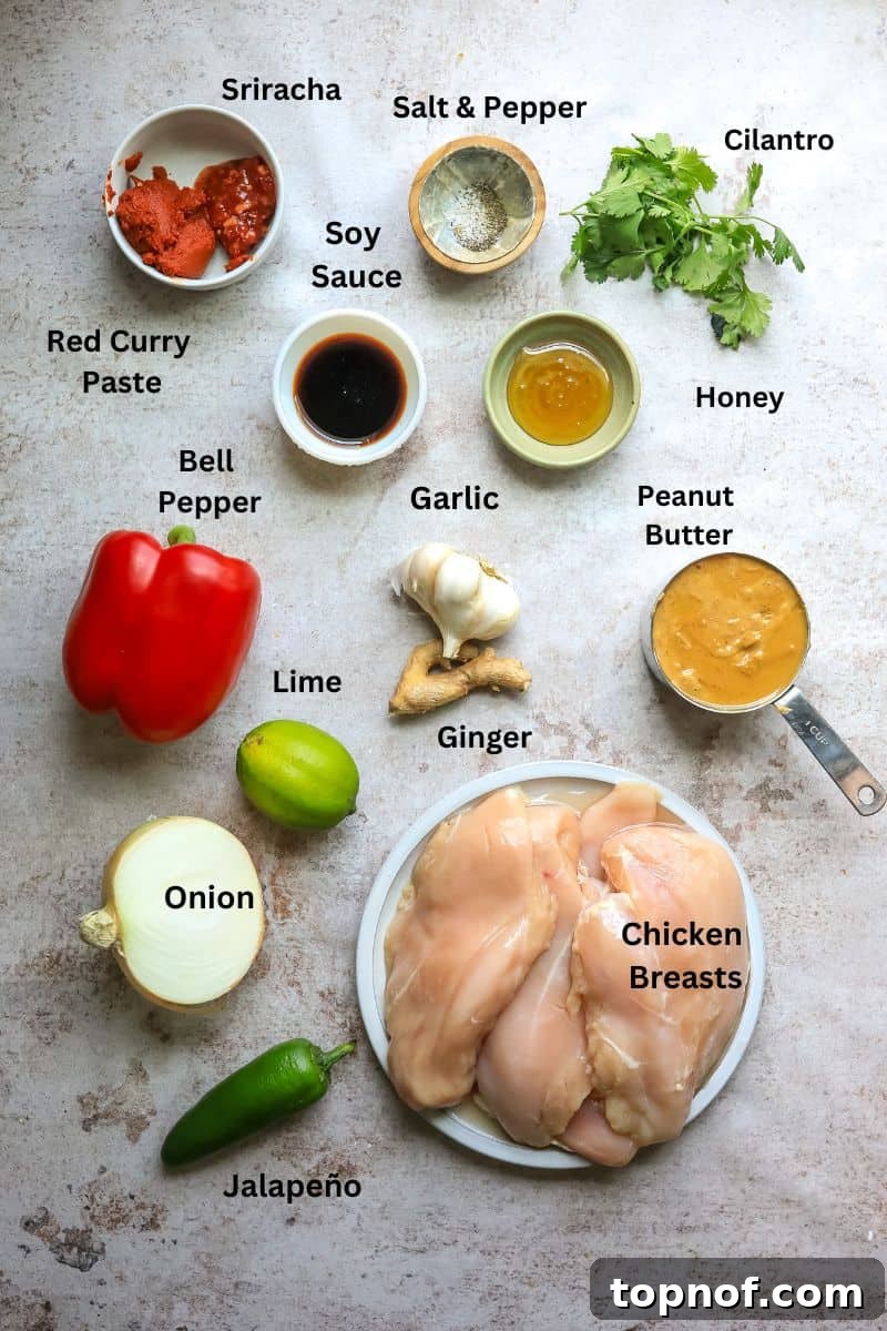 Creamy Slow Cooker Satay Chicken 3 Assorted fresh ingredients for slow cooker chicken satay, including chicken, creamy peanut butter, vibrant red curry paste, and a crisp red bell pepper, neatly arranged in small bowls and plates on a kitchen counter.