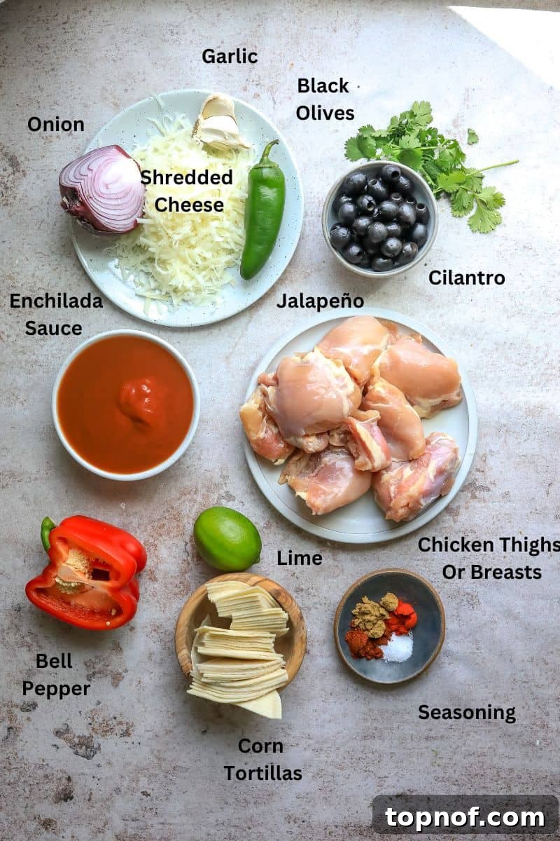 Melt-In-Your-Mouth Slow Cooker Chicken Enchiladas 3 Ingredients needed to make crock pot chicken enchiladas on a counter in small bowls and plates.