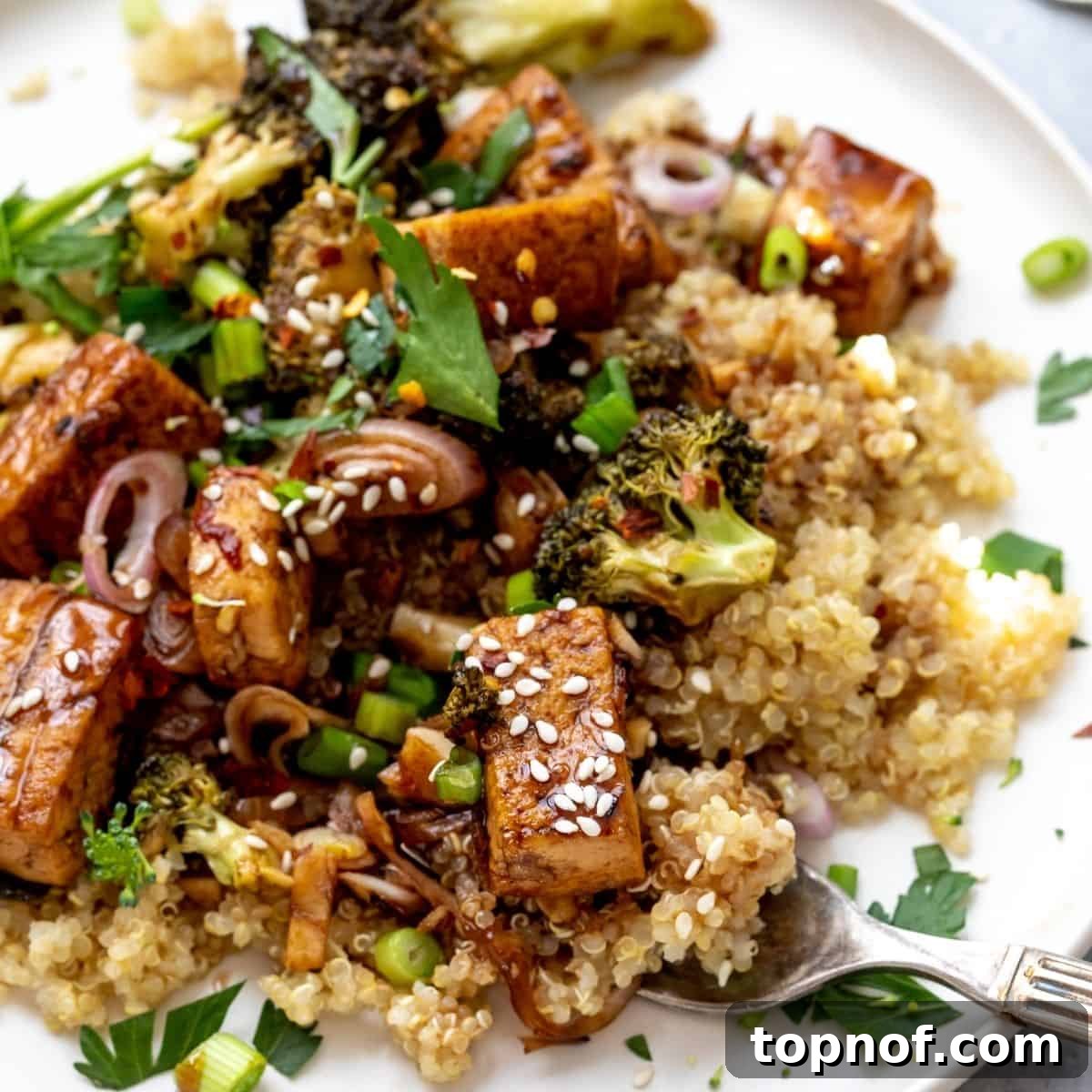 Balsamic Tofu and Broccoli sautéed to perfection, ready to be served over quinoa.