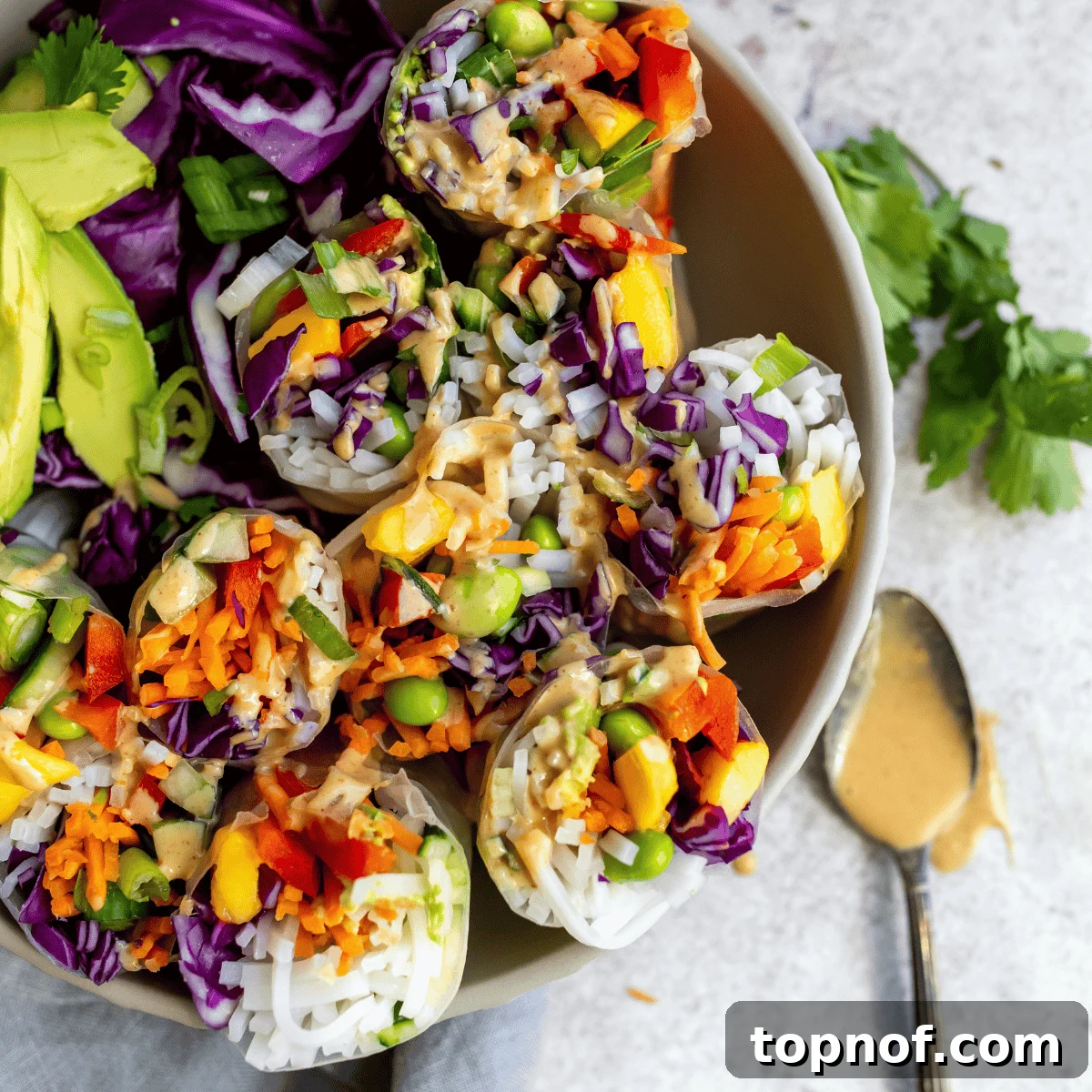 Fresh Salad Rolls arranged in a bowl, with a spoon and cilantro for garnish.