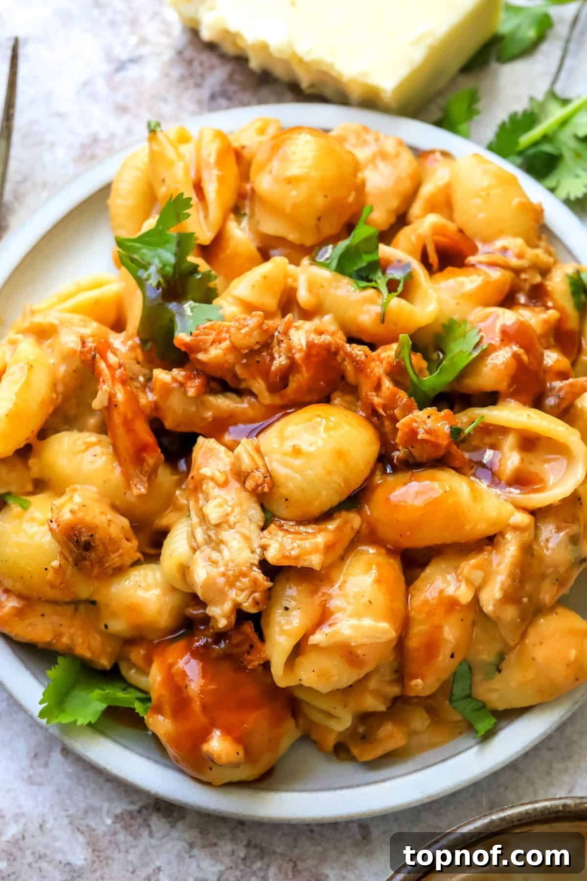 SMOKED BBQ CHICKEN MACARONI AND CHEESE 6 A white plate showcasing a serving of creamy pasta, rich cheese, and tender BBQ chicken, artfully mixed and ready to delight.