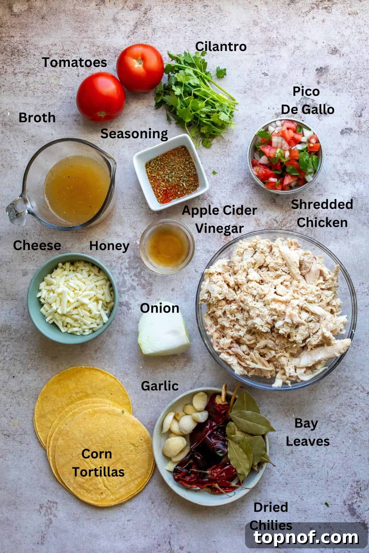 Mouthwatering Chicken Birria Tacos 3 Overhead shot of fresh ingredients laid out on a kitchen counter: quartered onions, Roma tomatoes, dried guajillo and arbol chiles, bay leaves, garlic cloves, spices, honey, and apple cider vinegar.