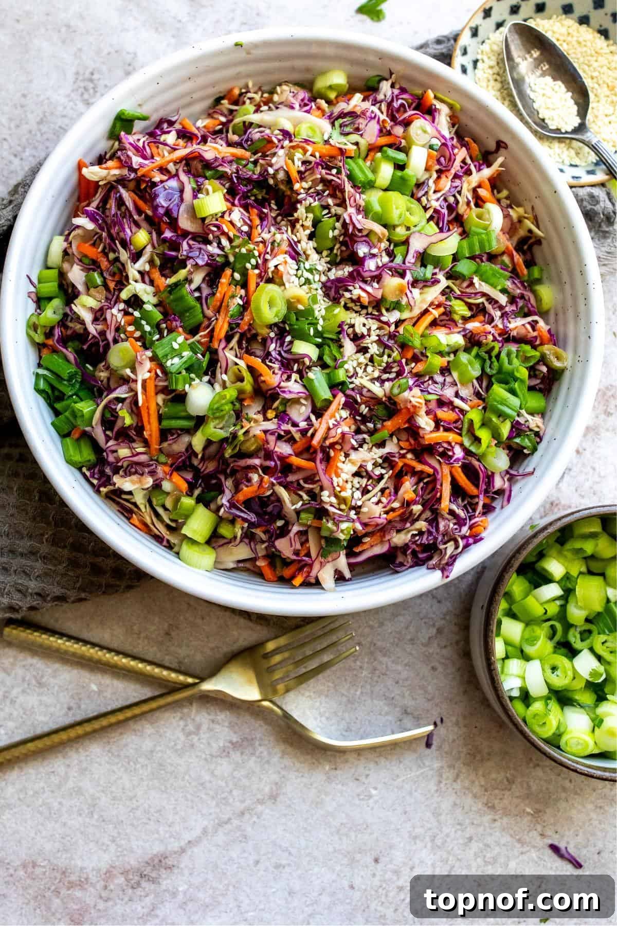Sesame Ginger Slaw 2 An overhead image of a large serving bowl filled with colorful, crunchy Asian coleslaw.