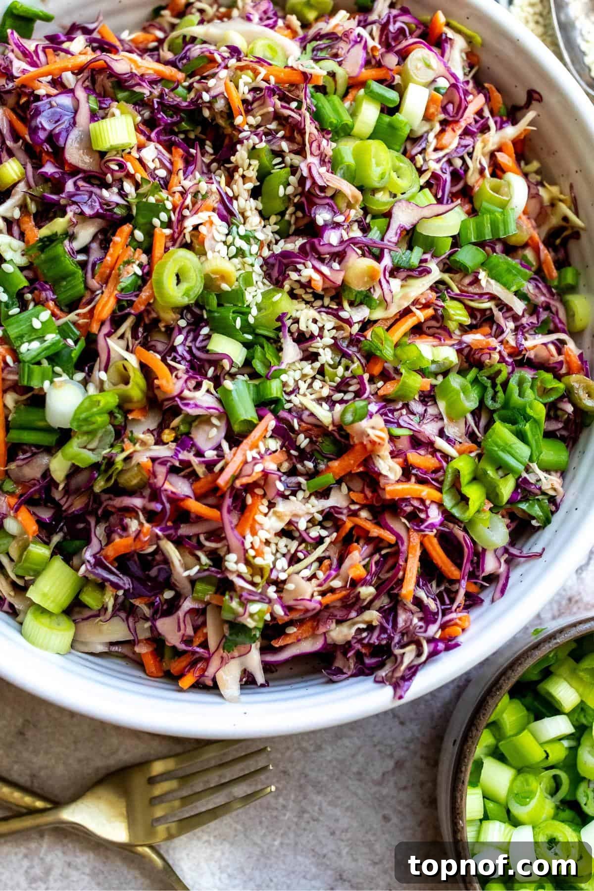 Sesame Ginger Slaw 5 A close-up image of fresh Asian coleslaw presented beautifully in a bowl, ready to serve.