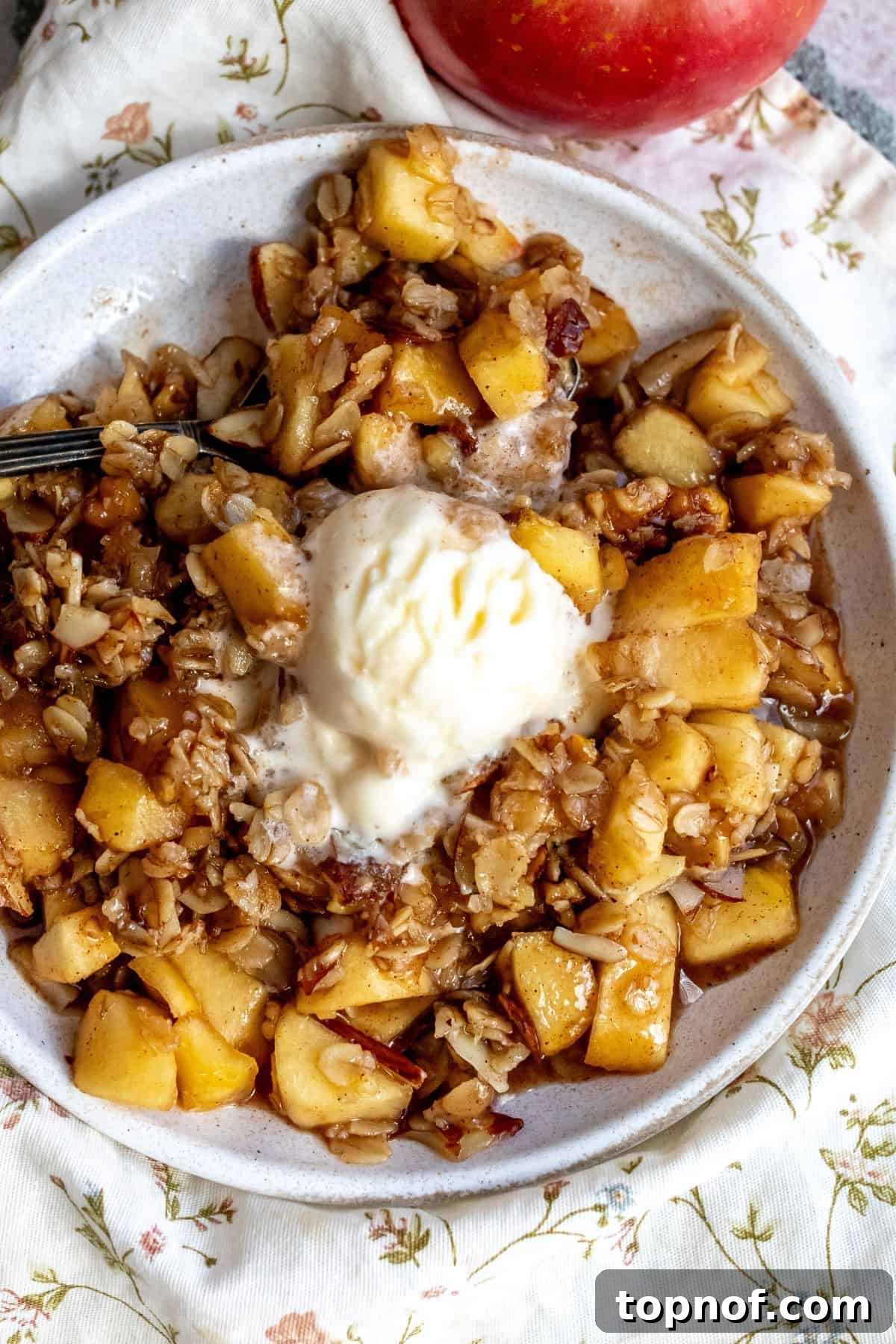 Set-It-and-Forget-It Apple Crisp 6 Up close photo of a bowl of apple crisp topped with melting vanilla ice cream and a silver fork.