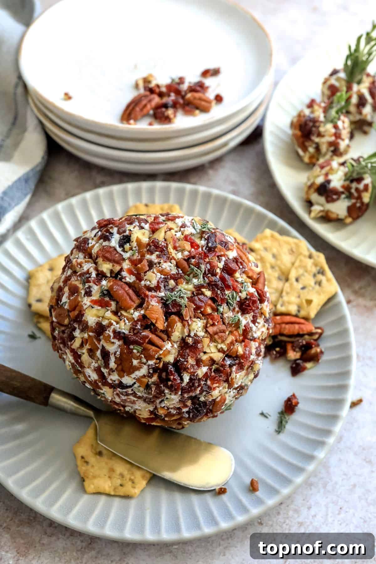 Ruby Red Cranberry Pecan Goat Cheese Ball 2 Grey plate with a beautifully shaped cranberry pecan goat cheese ball on it, garnished with fresh cranberries and pecans, ready to serve.