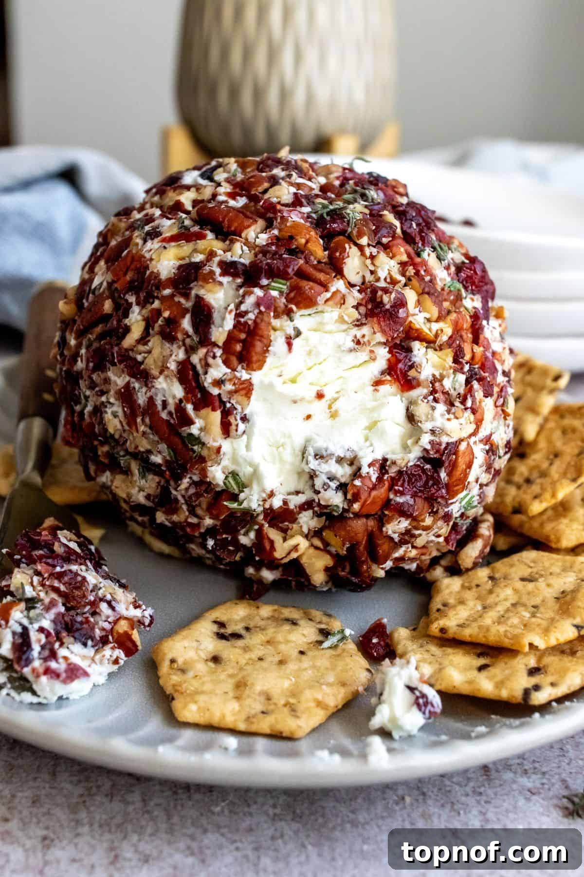 Ruby Red Cranberry Pecan Goat Cheese Ball 5 Close-up photograph of the finished cranberry pecan goat cheese ball, beautifully coated and served with an assortment of crackers.