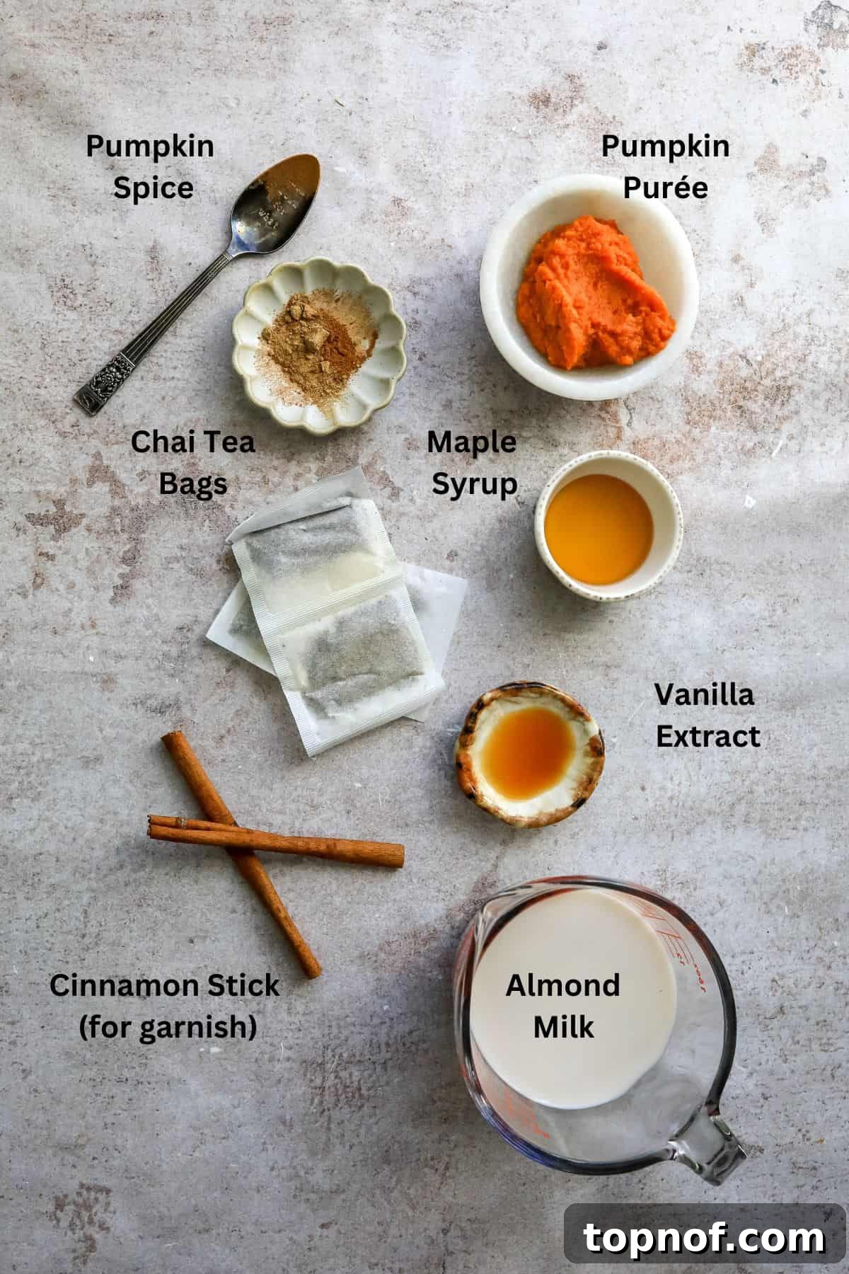 An overhead image of pumpkin chai latte ingredients.