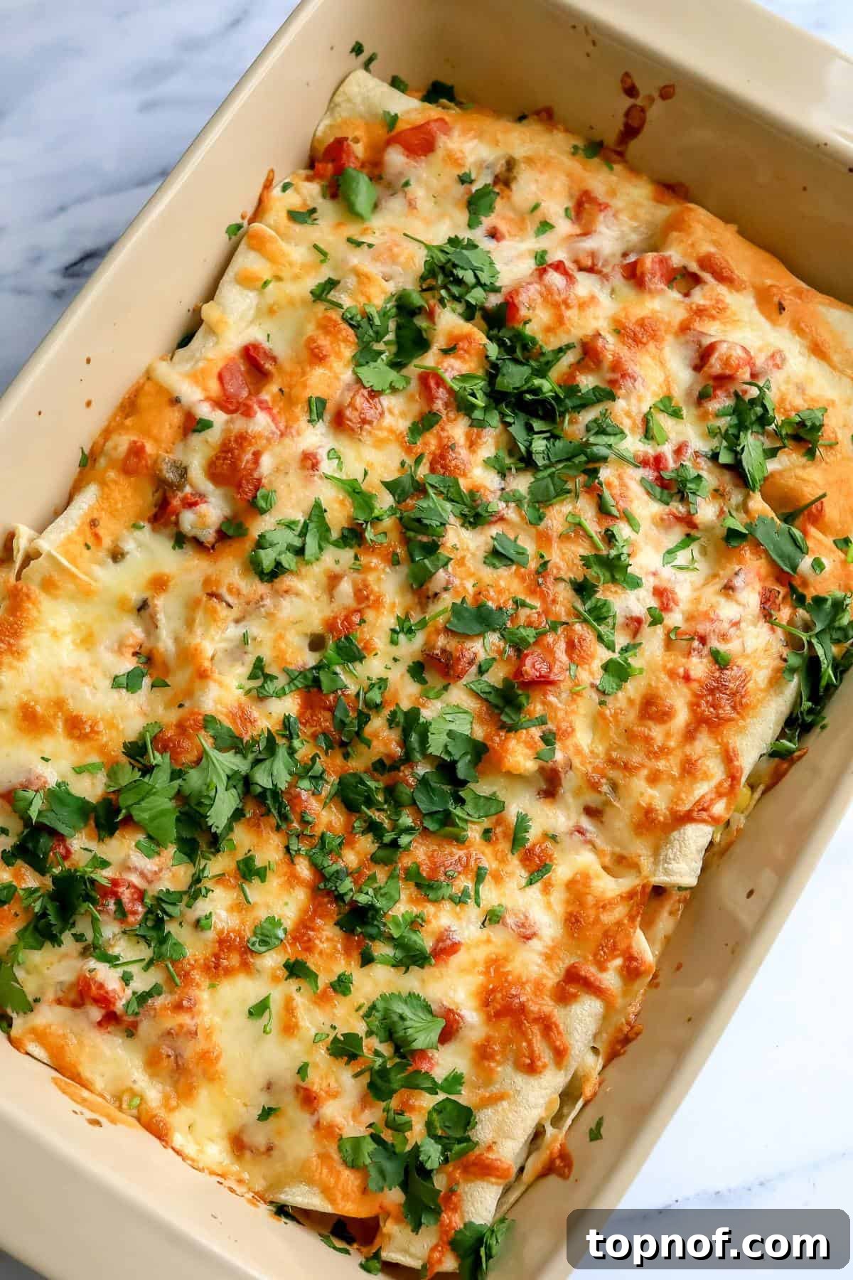 Creamy White Chicken Enchiladas 2 Cheesy White Enchiladas in a baking dish with bubbly cheese and cilantro.