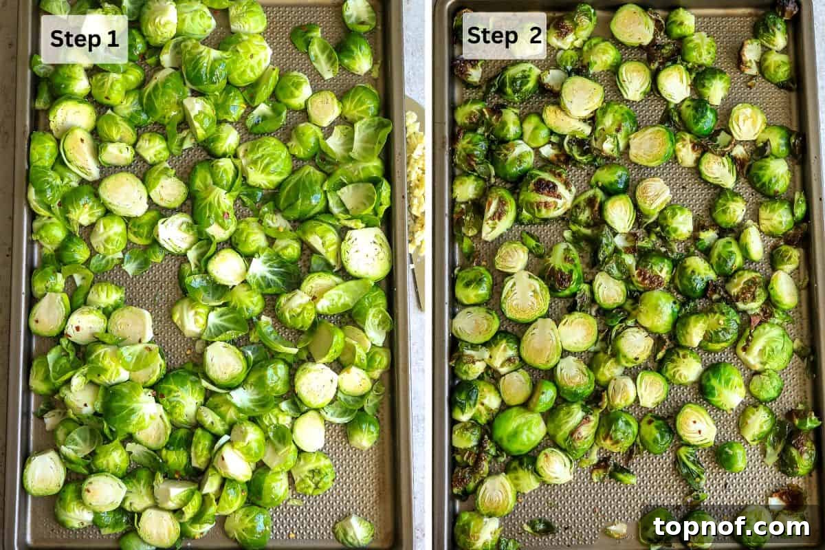 Brussel sprouts on a baking sheet raw and then roasted. 