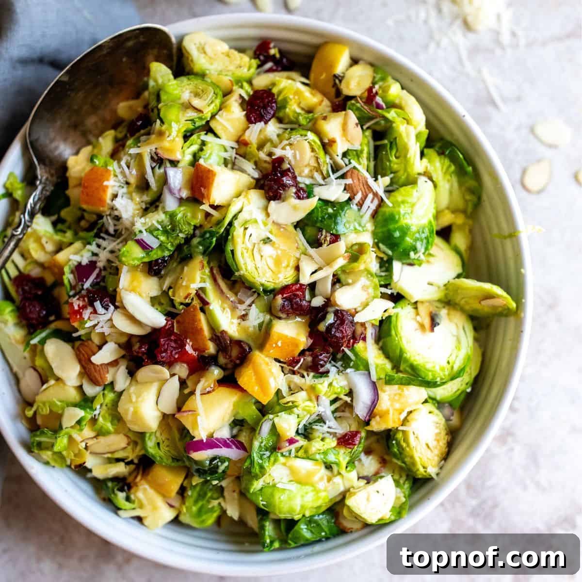 Golden Roasted Brussels Sprout Salad 2 Warm roasted brussel sprouts salad in a white ceramic bowl with a silver spoon, garnished with fresh herbs.