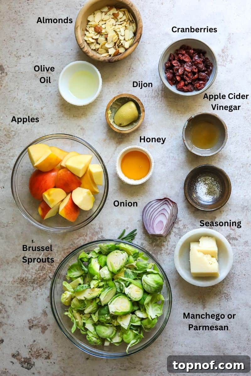 Golden Roasted Brussels Sprout Salad 3 Ingredients needed to make this salad laid out in small bowls on a grey counter, including brussels sprouts, apples, almonds, and cheese.