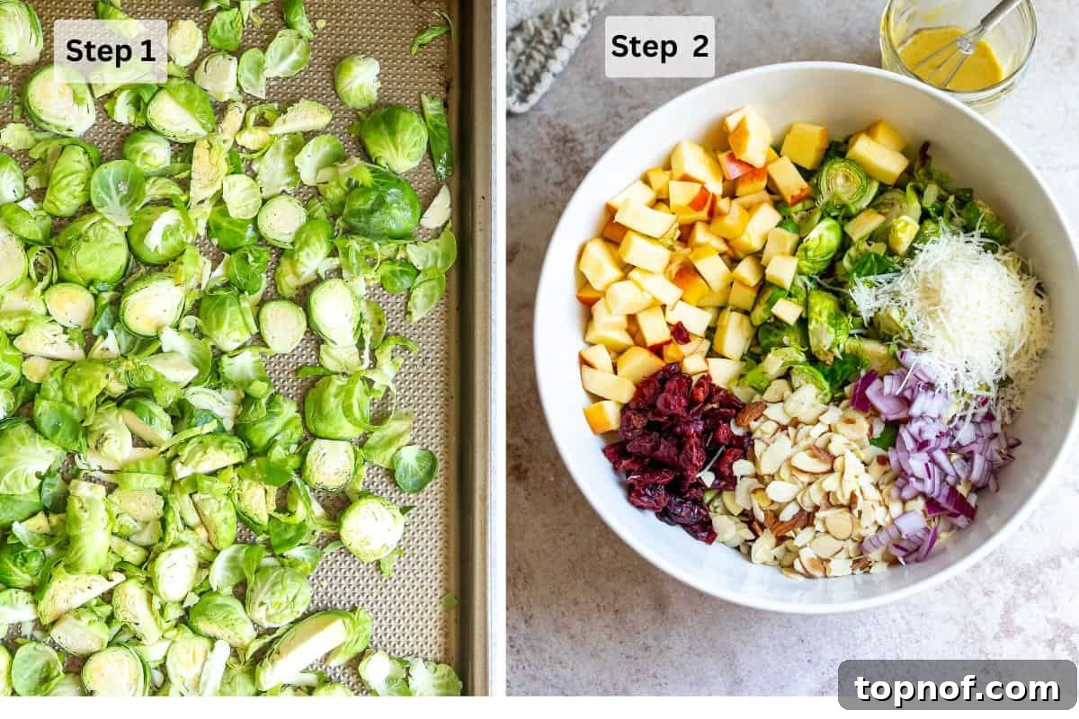 Golden Roasted Brussels Sprout Salad 4 Brussel sprouts spread evenly on a cooking sheet before roasting. A large white serving bowl holds warm roasted Brussels sprouts, ready for dressing and other ingredients.