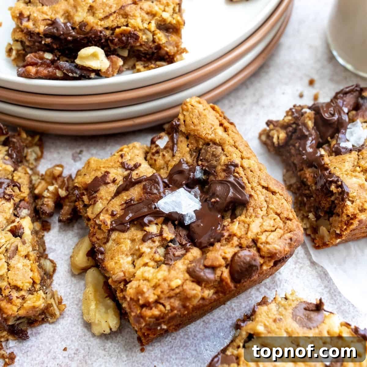 Ultimate Chocolate Walnut Cookie Bars 2 Delicious vegan chocolate walnut cookie bars on a pristine white plate, showcasing their rich, fudgy texture and generous chocolate and walnut distribution.