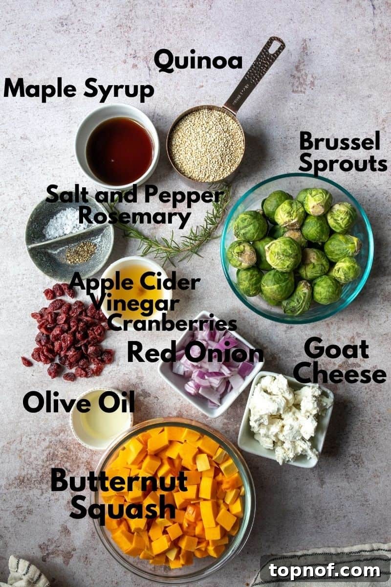 Golden Harvest Quinoa Salad 3 A flat lay photograph displaying all the fresh ingredients required for the butternut squash quinoa salad, including whole butternut squash, Brussels sprouts, quinoa, goat cheese, cranberries, and herbs.