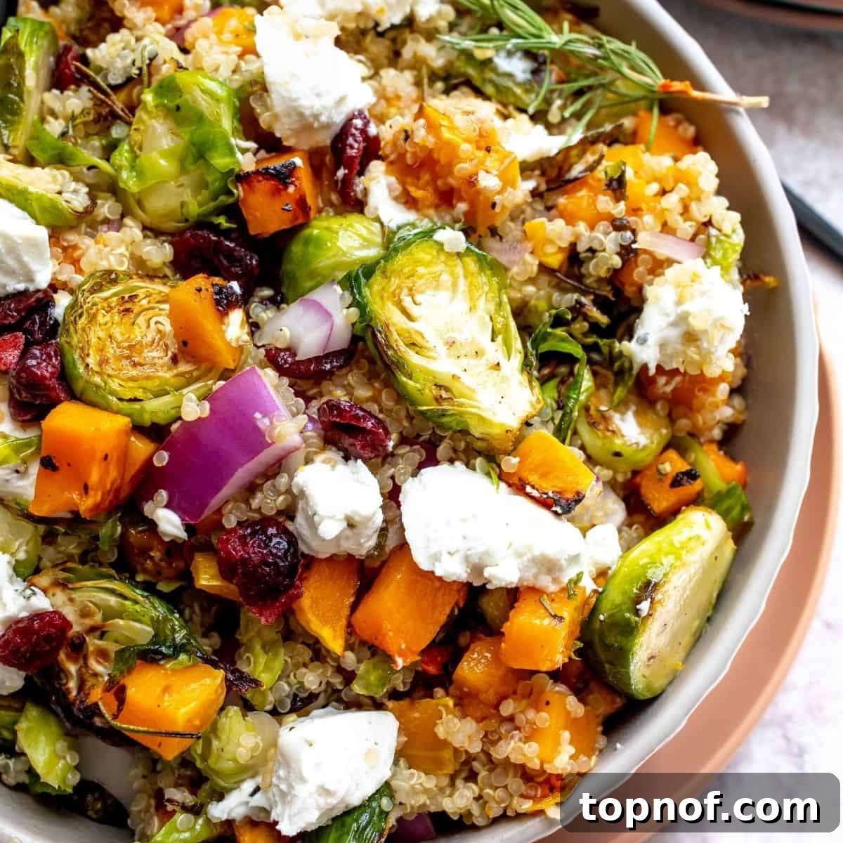 Golden Harvest Quinoa Salad 5 A close-up view of the butternut squash quinoa salad in a bowl, highlighting the texture and colors of the roasted vegetables and grains.