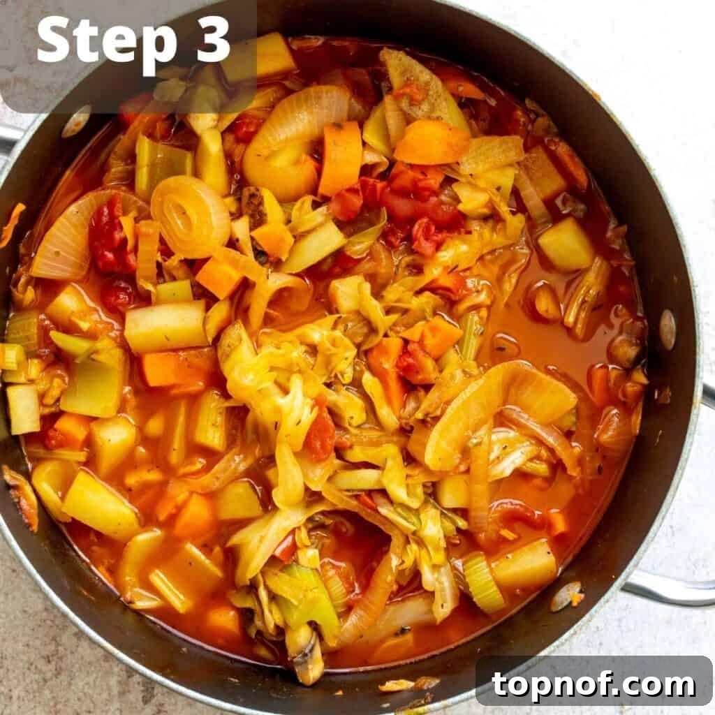 Garden Goodness Stew 5 The veggie stew simmering in a pot, with all ingredients mixed, creating a rich texture.