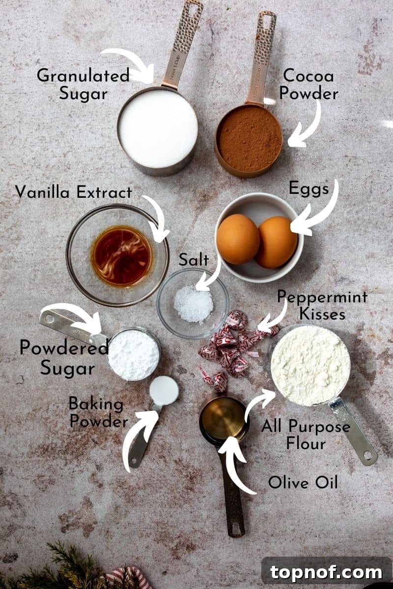 Fudgy Chocolate Crinkle Cookies 3 Collection of ingredients for brownie crinkle cookies, including granulated sugar, cocoa powder, eggs, olive oil, vanilla extract, flour, baking powder, salt, powdered sugar, and candy cane Hershey's Kisses.