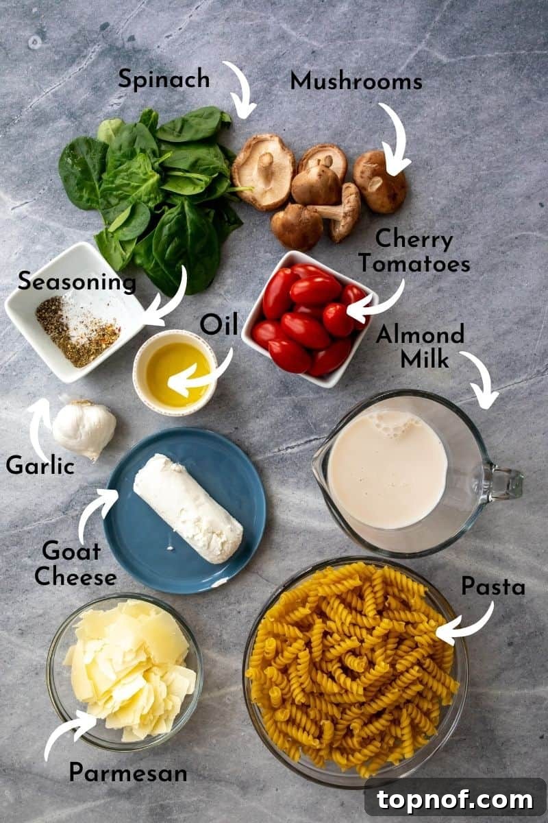 Velvety Vegetable Pasta 3 Fresh ingredients for creamy veggie pasta laid out on a clean grey counter, including various vegetables, cheese, and pasta.