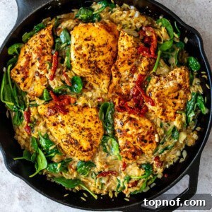 Chicken and orzo skillet with sun dried tomatoes and spinach.