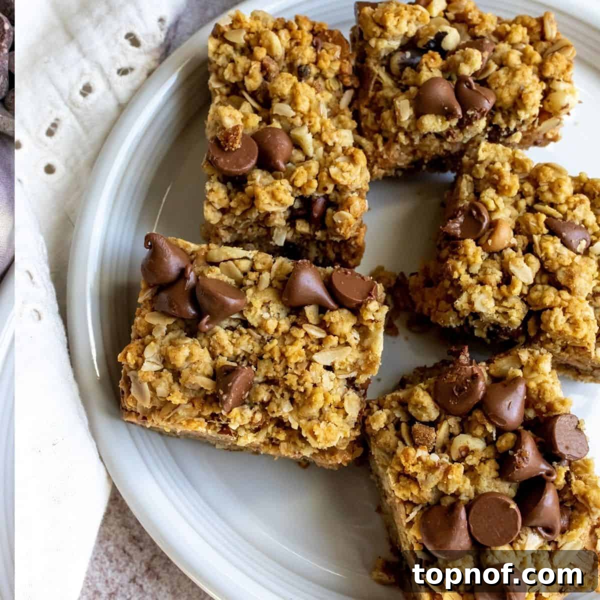 Fudgy Peanut Butter Chocolate Oat Bars 2 Delicious Chocolate Peanut Butter Oatmeal Bars on a pristine white plate, showcasing their rich texture and golden-brown edges.