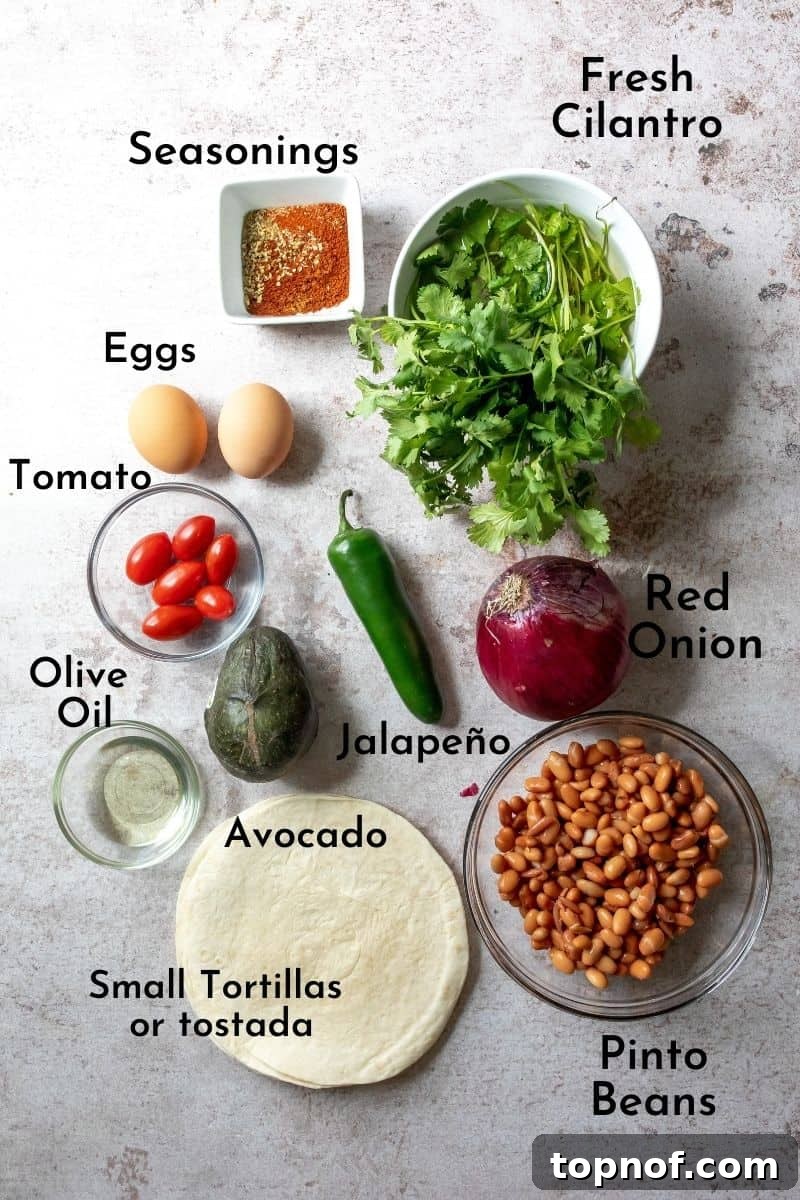 Wholesome Breakfast Tostada 3 Assortment of fresh ingredients including eggs, tortillas, avocado, beans, and spices laid out on a grey counter to make breakfast tostadas.