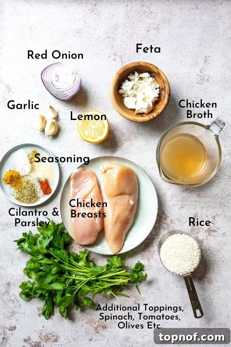 Fresh Ingredients for Mediterranean Chicken Bowl Close-up shot of raw chicken breast, fresh cilantro, lemon, red onion, garlic, and various spices laid out on a kitchen counter, ready for preparing the Mediterranean Bowl.