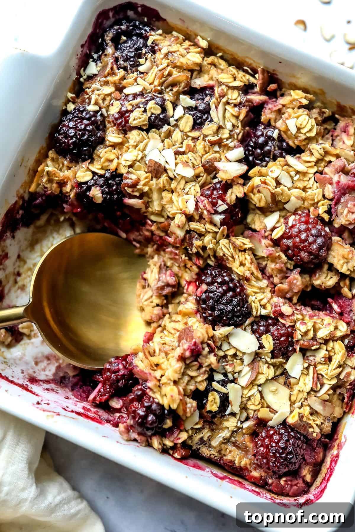 Berry Bliss Baked Oatmeal 5 A close-up shot of baked Blackberry Baked Oatmeal in a white square baking dish, with a serving spoon resting inside, highlighting its readiness to be enjoyed.