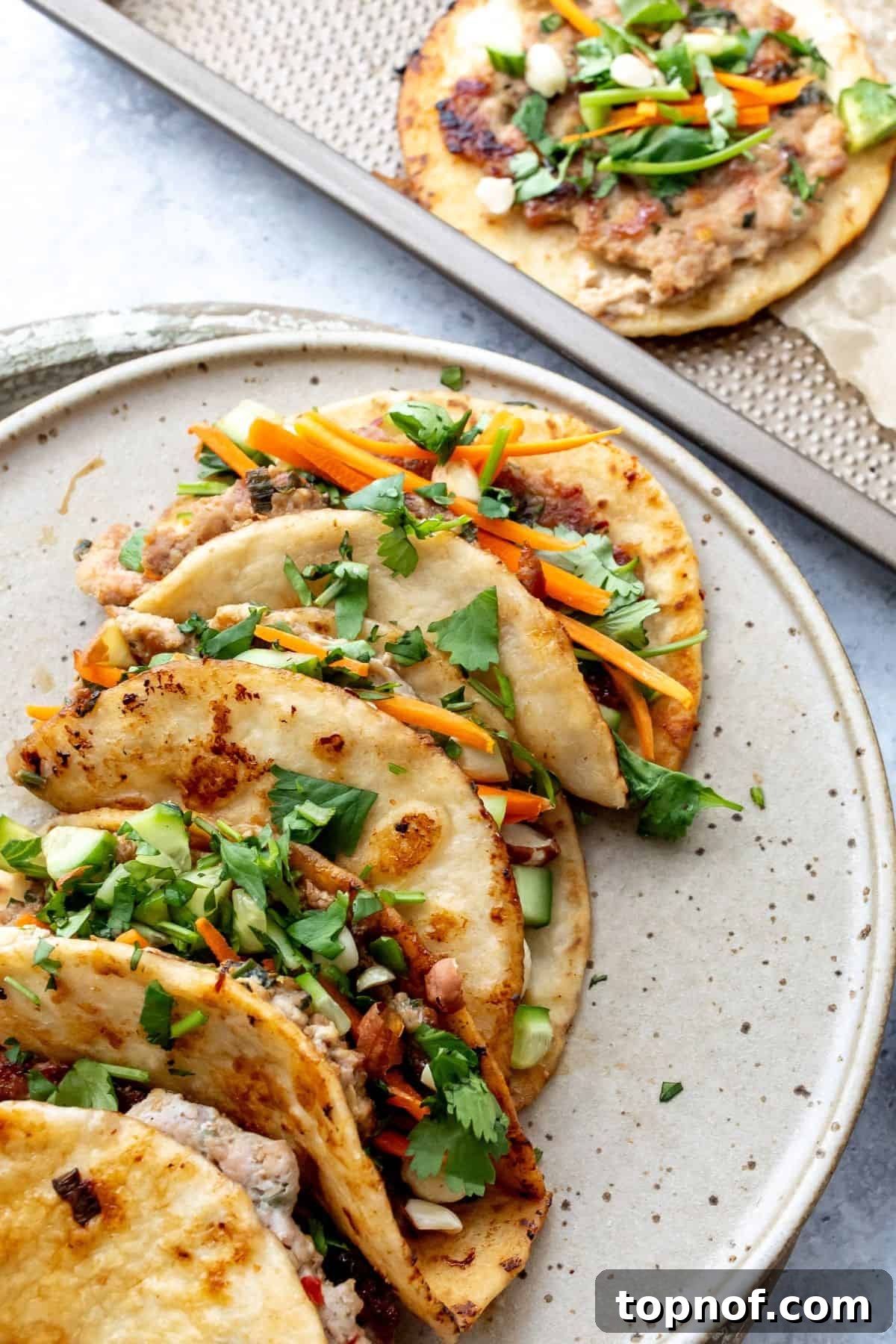 A beautifully presented plate of dumpling tacos, garnished with fresh, vibrant toppings and a small bowl of dipping sauce, ready to be enjoyed. 
