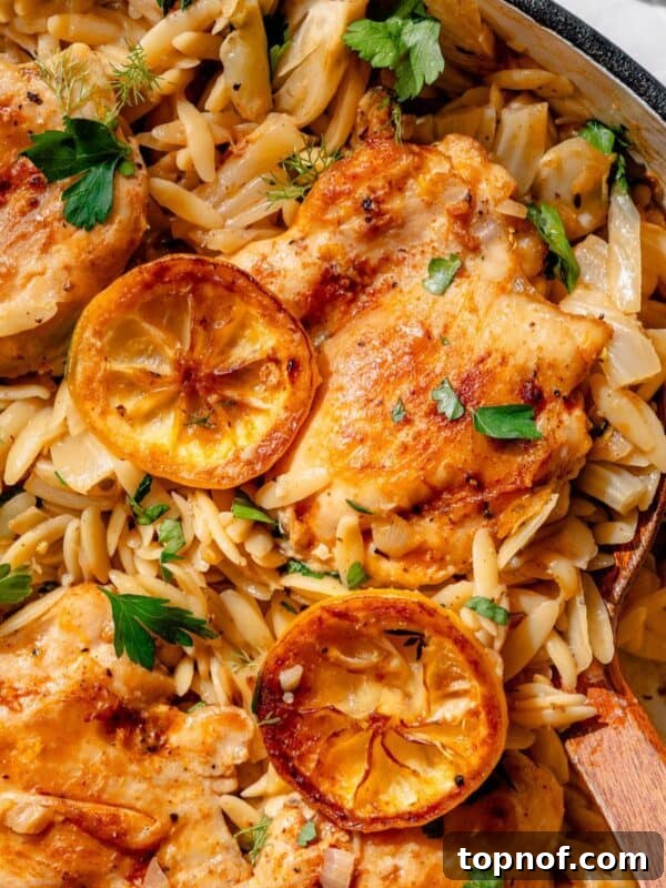 Citrus Tequila-Lime Chicken Recipe for Grilled Weeknight Meals 8 Close up of lemon chicken and orzo with herbs and lemon slices
