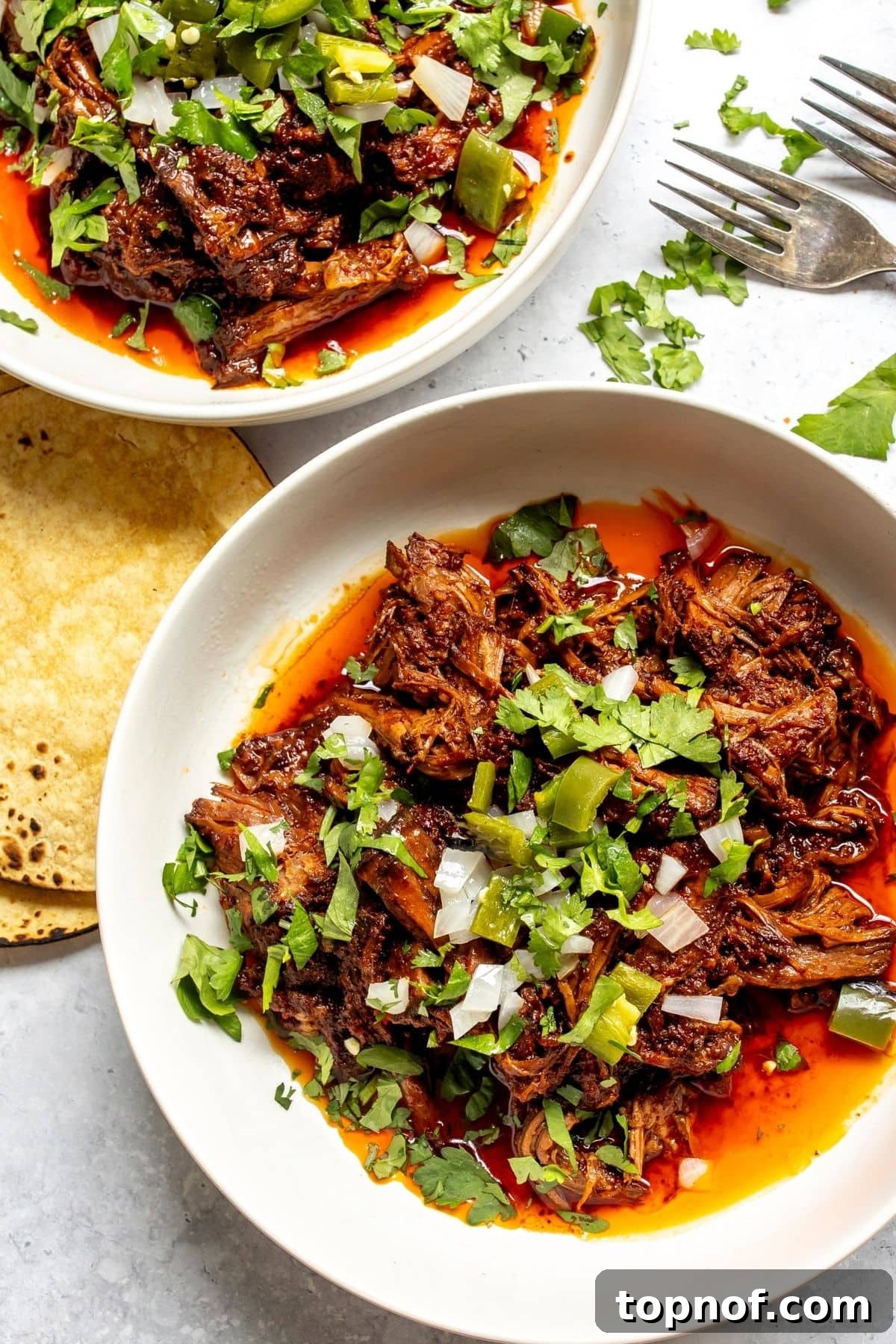 Slow Cooker Beef Birria Tacos with Dipping Consomme 2 The slow cooker beef birria in a shallow bowl with cilantro sprinkled on top.