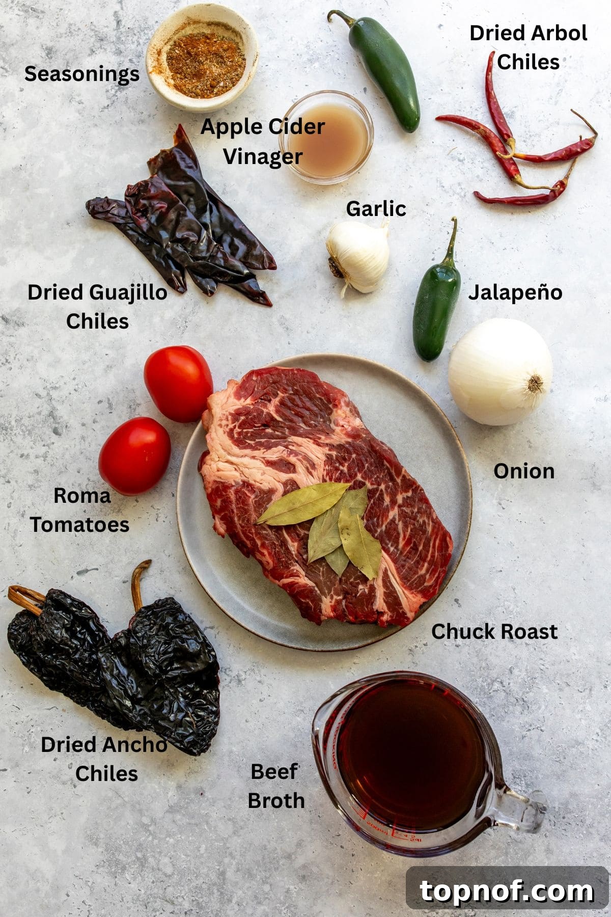 Slow Cooker Beef Birria Tacos with Dipping Consomme 3 All of the ingredients for slow cooker birria on a countertop.