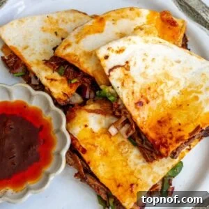 Birria quesadilla on a white plate for serving.