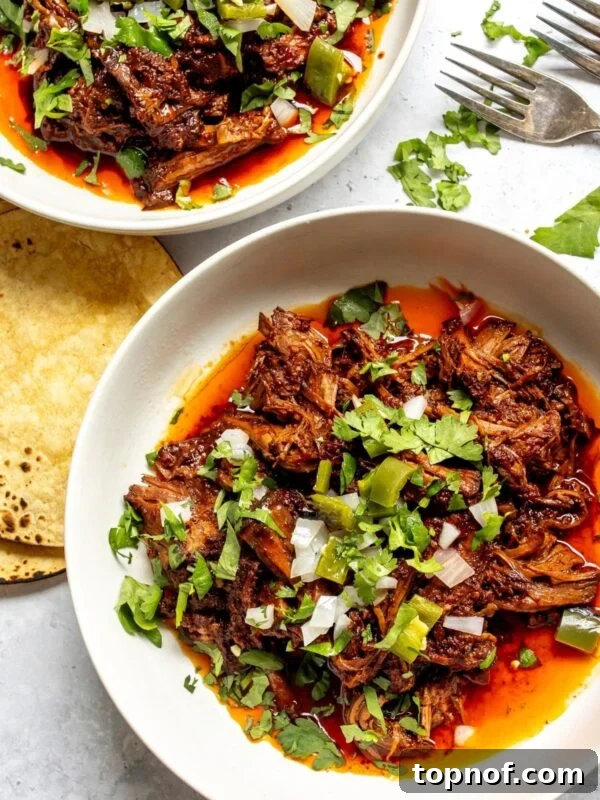 The slow cooker beef birria in a shallow bowl with cilantro sprinkled on top.