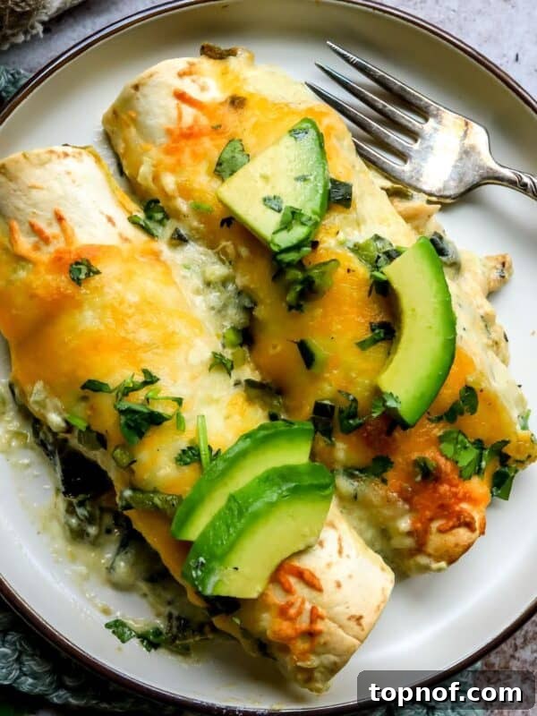 Poblano Chicken Enchiladas on a small plate with a silver fork to the side.